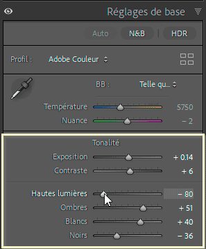 Sous panneau Tonalité pour visualiser les écrêtage avec la touche Alt/Option dans Lightroom Classic
