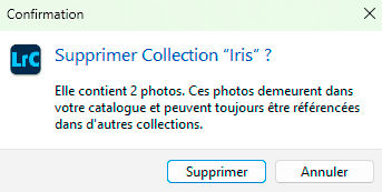 Suppression d'une collection de Lightroom Classic