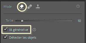 Outil Suppression générative de Lightroom Classic