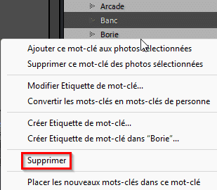 Supprimer des mots clés du Catalogue de Lightroom Classic