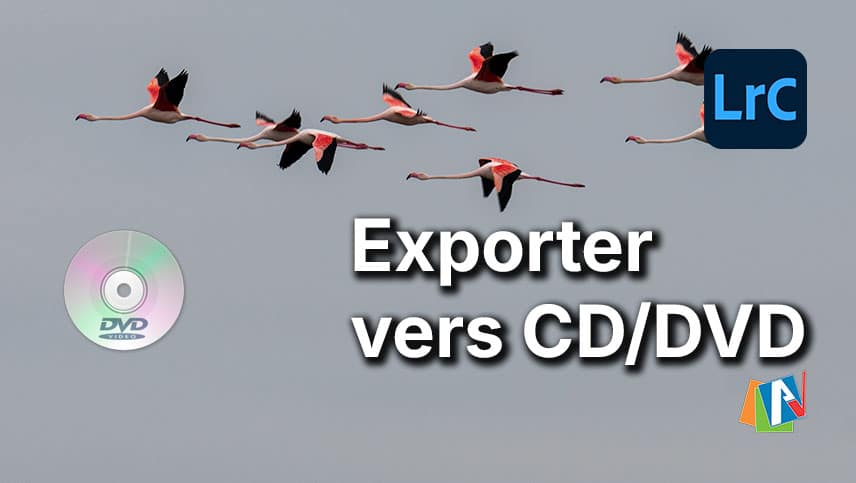 Exporter vers un CD-DVD avec Lightroom Classic