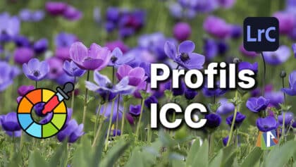 Installer un profil ICC pour l'utiliser dans Lightroom Classic