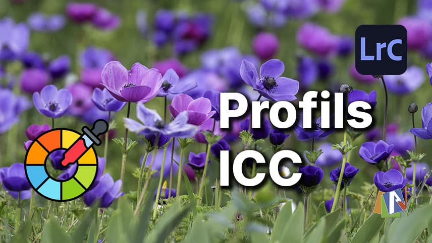 Installer un profil ICC pour l'utiliser dans Lightroom Classic
