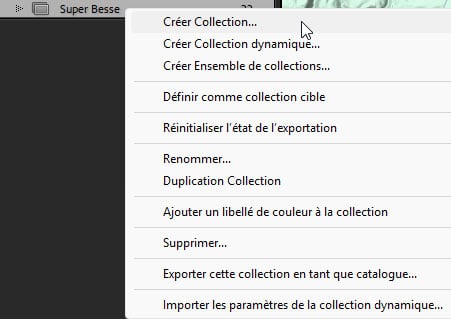 Options de collection standard du module Cartes dans Lightroom Classic