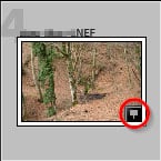 Badge de photo comportant une géolocalisation GPS