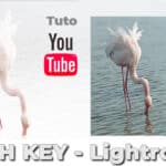 La photographie High Key