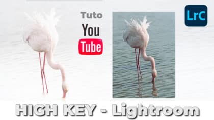 Photographie High Key : réussir des images lumineuses