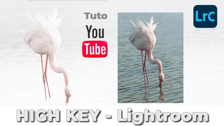 Photographie High Key : réussir des images lumineuses