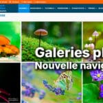 Nouveautés du site – avril 2026