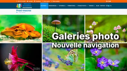 Les nouveautés du site Vincent Eysséric COM d'avril 2026