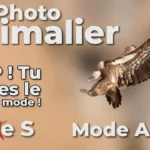 Animalier : arrêtez le mode S – Tv