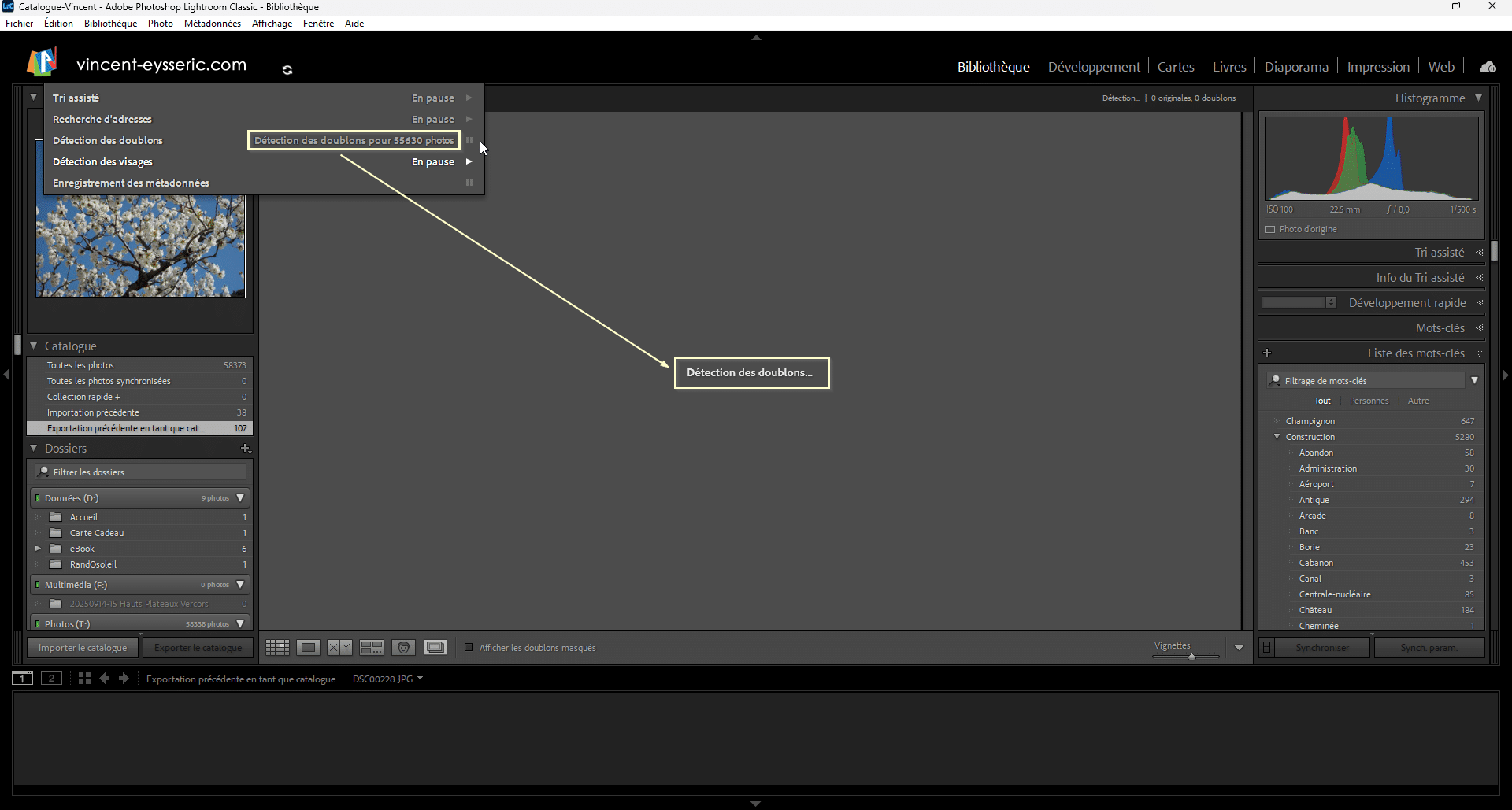 Balayage de la détection des doublons dans Lightroom Classic