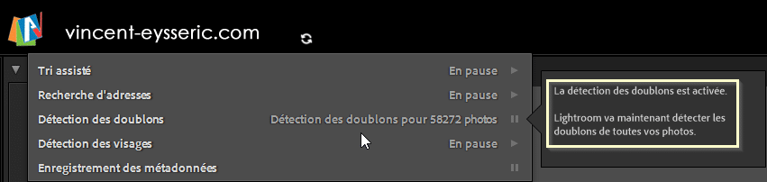 Panneau Détection des doublons activé