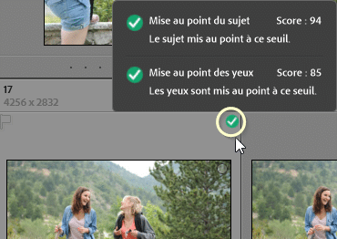 Les badges des vignettes dans Lightroom Classic