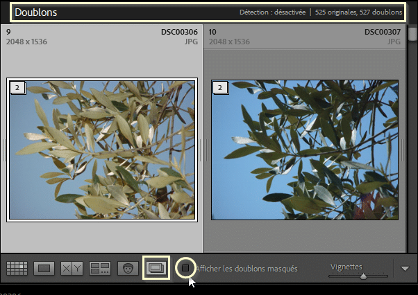 La section d'en-tête de la barre des Doublons dans Lightroom Classic