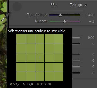 La balance des blancs dans Lightroom Classic