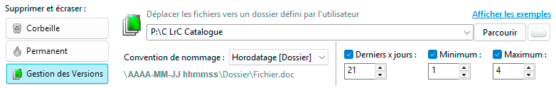 Gestion des versions dans FreeFileSync
